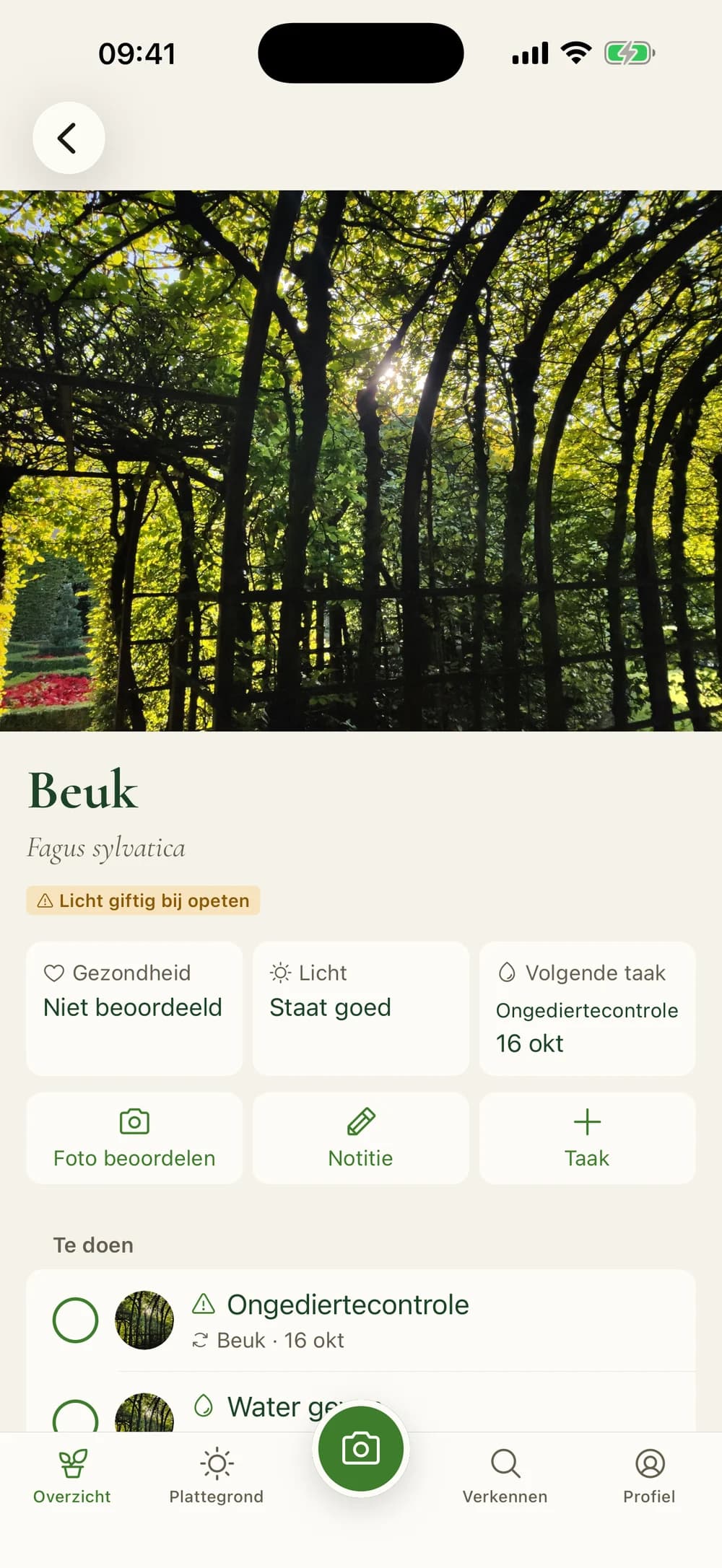 Plantpagina met gezondheid, licht en de volgende taak